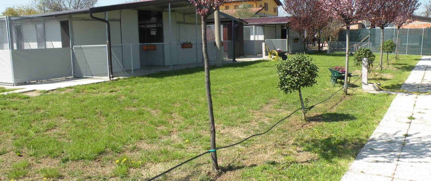 Allevamenti Cani Di Razza La Vecchia Fattoria Salvaterra Reggio Emilia